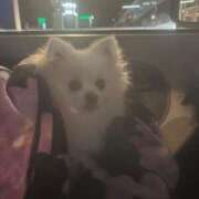 ヒメ日記 2026/02/06 22:48 投稿 あい ぽっちゃりプリンセス