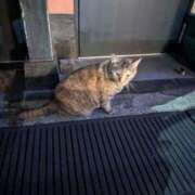 ヒメ日記 2025/10/10 23:35 投稿 セイラ～SM～ アメイジングビル～道後最大級！遊び方無限大∞ヘルス♪～