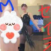 ヒメ日記 2026/04/10 22:45 投稿 セイラ～SM～ アメイジングビル～道後最大級！遊び方無限大∞ヘルス♪～