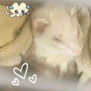 ヒメ日記 2025/04/21 22:07 投稿 百永りり グランエステ東京 品川（シンデレラグループ）