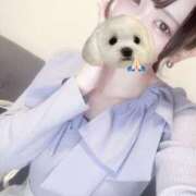 ヒメ日記 2025/06/19 16:42 投稿 百永りり グランエステ東京 品川（シンデレラグループ）