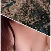 ヒメ日記 2025/03/30 15:00 投稿 ゆずき 奥鉄オクテツ東京店（デリヘル市場）