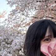 ヒメ日記 2025/04/19 02:10 投稿 マリア 変態clubラツィエル