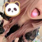 ヒメ日記 2025/01/19 04:58 投稿 ここみ★衝撃なる正統派美女 BEPPIN SELECTION ～べっぴんセレクション～