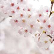 ヒメ日記 2025/03/31 14:54 投稿 萌花（もか） Shiny