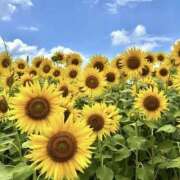 ヒメ日記 2025/08/07 09:54 投稿 萌花（もか） Shiny