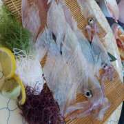 ヒメ日記 2025/05/04 21:34 投稿 ゆりか 熟女の薫り