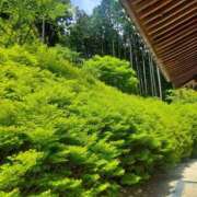 ヒメ日記 2025/05/05 13:19 投稿 ゆりか 熟女の薫り