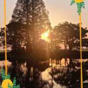 ヒメ日記 2025/05/24 01:10 投稿 ゆりか 熟女の薫り