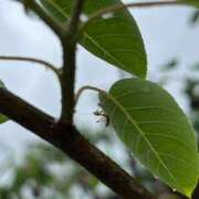ヒメ日記 2025/05/24 20:29 投稿 ゆりか 熟女の薫り