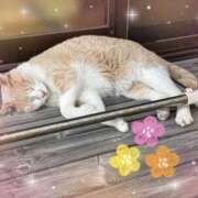 ヒメ日記 2025/06/03 04:29 投稿 ゆりか 熟女の薫り