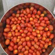 ヒメ日記 2025/07/10 15:37 投稿 ゆりか 熟女の薫り