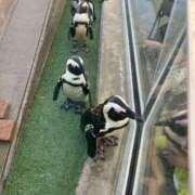 ヒメ日記 2025/08/17 23:33 投稿 ゆりか 熟女の薫り