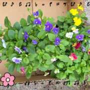 ヒメ日記 2025/10/21 17:16 投稿 ゆりか 熟女の薫り