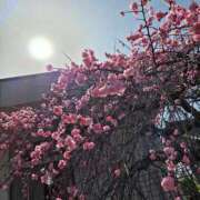 ヒメ日記 2026/02/23 12:18 投稿 ゆりか 熟女の薫り