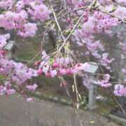 ヒメ日記 2026/04/05 01:48 投稿 ゆりか 熟女の薫り