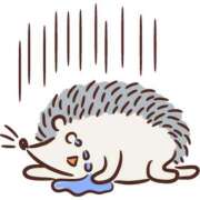 ほのか ご予約、ご予定のお兄様へ🍀 ギン妻パラダイス 堺東店