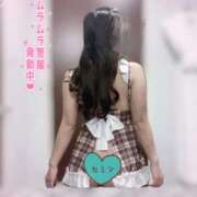 ヒメ日記 2025/09/02 09:37 投稿 かほ Ace(エース)