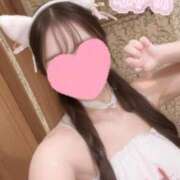 ヒメ日記 2025/09/10 19:09 投稿 かほ Ace(エース)