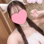 ヒメ日記 2025/10/02 15:30 投稿 かほ Ace(エース)