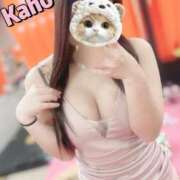 ヒメ日記 2026/01/23 16:00 投稿 かほ Ace(エース)