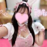 ヒメ日記 2026/09/03 20:00 投稿 かほ Ace(エース)