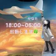 ヒメ日記 2024/11/29 17:35 投稿 かなた デザインプリズム新宿