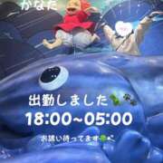 ヒメ日記 2024/12/05 18:46 投稿 かなた デザインプリズム新宿