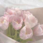 ヒメ日記 2026/04/19 03:03 投稿 吉沢優菜 お姉さんCLUB