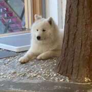 ヒメ日記 2025/09/03 11:05 投稿 渚(なぎさ) 渋谷蘭の会