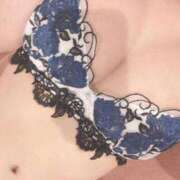 ヒメ日記 2025/02/28 00:01 投稿 レンカ ルパン