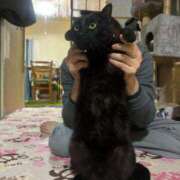 ヒメ日記 2025/06/05 15:34 投稿 レンカ ルパン