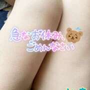 ヒメ日記 2025/04/17 12:15 投稿 とも セレブクエスト-koshigaya-