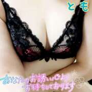 ヒメ日記 2025/06/16 07:34 投稿 とも セレブクエスト-koshigaya-