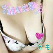 ヒメ日記 2025/12/12 01:24 投稿 とも セレブクエスト-koshigaya-