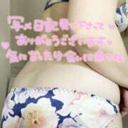 ヒメ日記 2026/04/08 01:39 投稿 とも セレブクエスト-koshigaya-