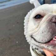 ヒメ日記 2025/04/20 05:20 投稿 柚珠【ユズ】 輝女