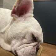 ヒメ日記 2025/05/14 21:32 投稿 柚珠【ユズ】 輝女