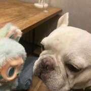 ヒメ日記 2025/09/28 10:35 投稿 柚珠【ユズ】 輝女