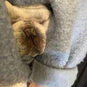 ヒメ日記 2025/11/15 05:11 投稿 柚珠【ユズ】 輝女