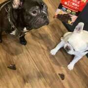 ヒメ日記 2025/11/16 22:39 投稿 柚珠【ユズ】 輝女