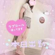 ヒメ日記 2025/03/26 10:14 投稿 みやび ダイスキ