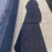 ヒメ日記 2024/12/15 11:57 投稿 高橋ゆりこ 恋する妻たち