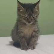 ヒメ日記 2024/12/18 13:18 投稿 高橋ゆりこ 恋する妻たち