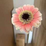 ヒメ日記 2025/11/30 22:02 投稿 高橋ゆりこ 恋する妻たち