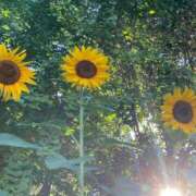 ヒメ日記 2025/08/14 10:17 投稿 ゆう 出会い系人妻ネットワーク 五反田～品川編