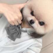 ヒメ日記 2025/08/28 22:19 投稿 うた【全身感じる清楚美少女】 STELLA TOKYO－ステラトウキョウ－