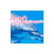 ヒメ日記 2024/07/12 05:27 投稿 あんゆ ハピネス東京