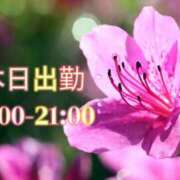 ヒメ日記 2024/05/19 10:11 投稿 しづ 奥様さくら難波店