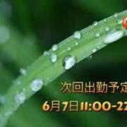 ヒメ日記 2024/06/04 23:21 投稿 しづ 奥様さくら難波店